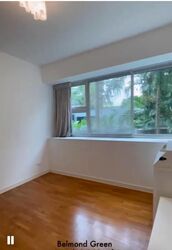 Belmond Green (D10), Condominium #515292091